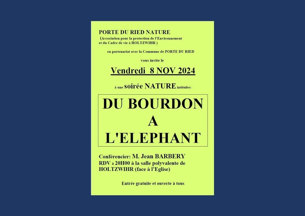 Soirée nature : DU BOURDON À L’ÉLÉPHANT