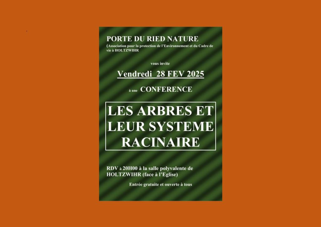 PORTE DU RIED NATURE : CONFÉRENCE « Les arbres et leur système racinaire »