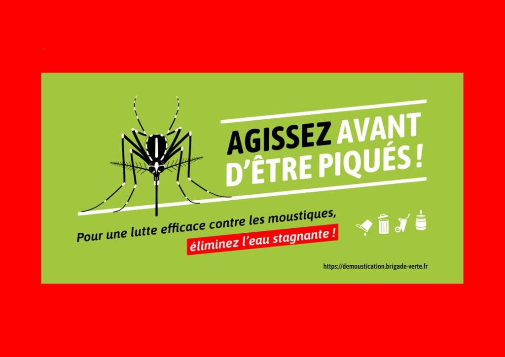 Moustique « tigre » : Agissez avant d’être piqués !